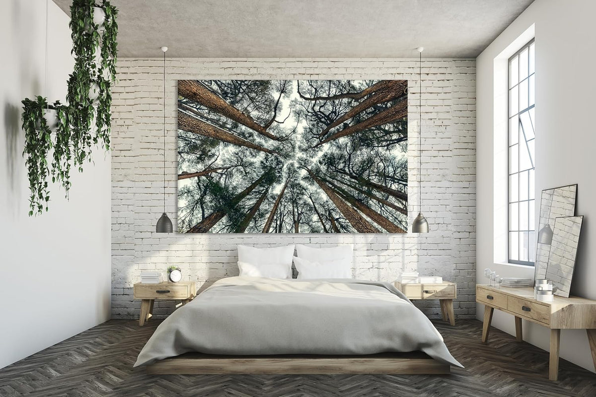 Nature Wall Art Prints - Ocean Forest Mountain Lake Canvas Landscapes - Small to Extra Large Living Room Bedroom Kitchen Bathroom Décor (Trees and Sky, 24L" x 36W")