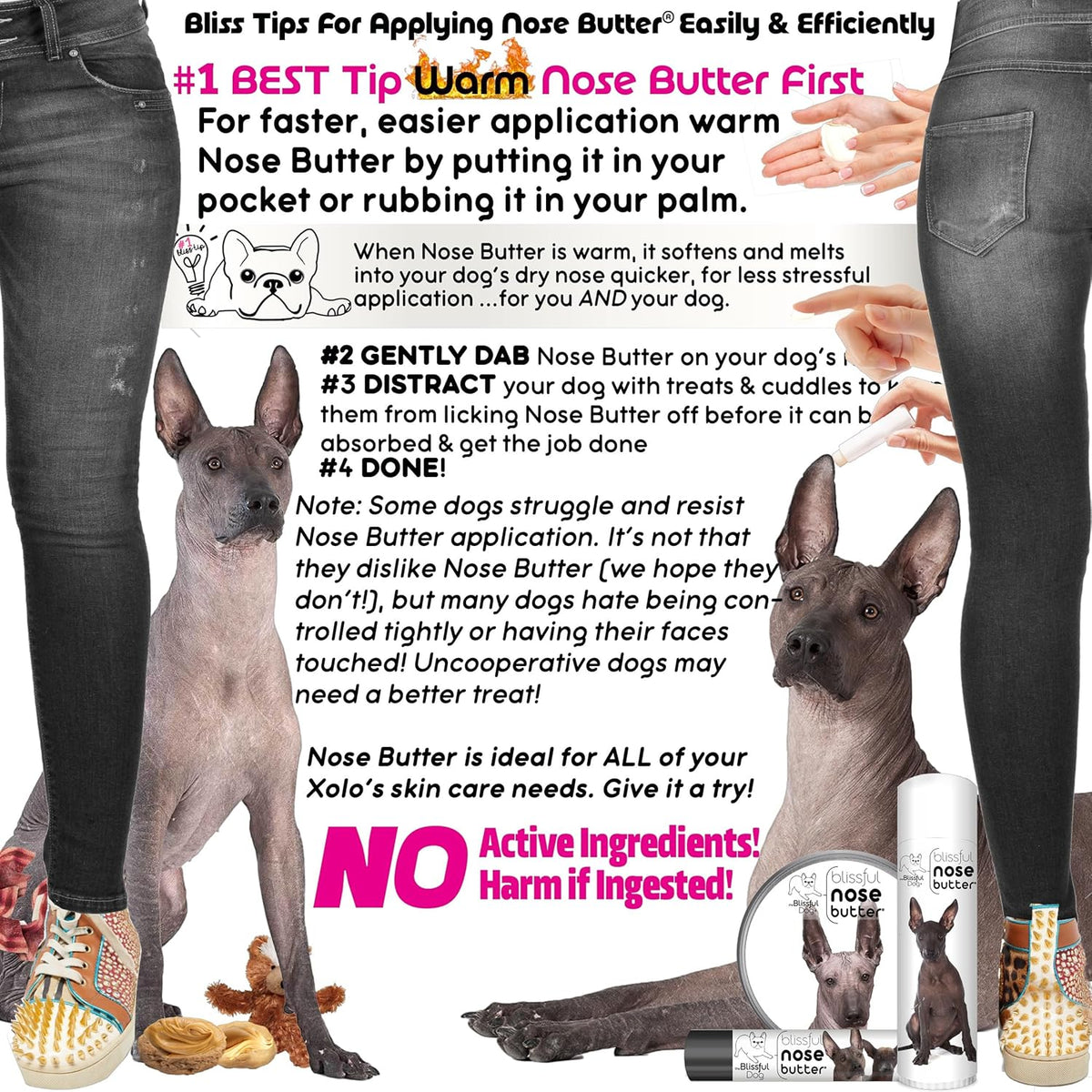 The Blissful Dog Xoloitzcuintli Nose Butter for Dry, Cracked Skin, Lick-Safe Dog Nose Balm with Moisturizing Shea Butter, Almond, Olive, and Essential Oils, Pet Supplies, Uncented, 8 oz.