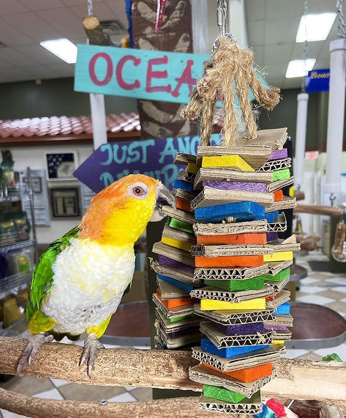 Birds LOVE Chew-Tastic Triple Tower Bird Cage Toy Shredded - Small Bird Toy for Green Cheek Conures Sun Conures Caiques Senegals Quakers and Similar Small Sized Parrots