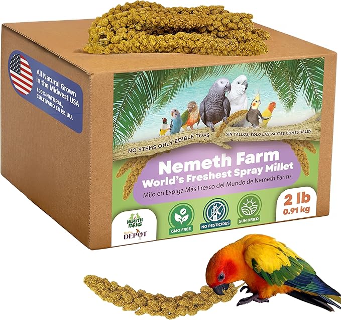Nemeth Farms–Natural Sun Dried Millet Spray for Pet Birds–Bulk Parrot Seed Treats and Parrot Food–Natural Non GMO Millet Spray–Cockatiels Lovebirds Parakeet 2 lbs.