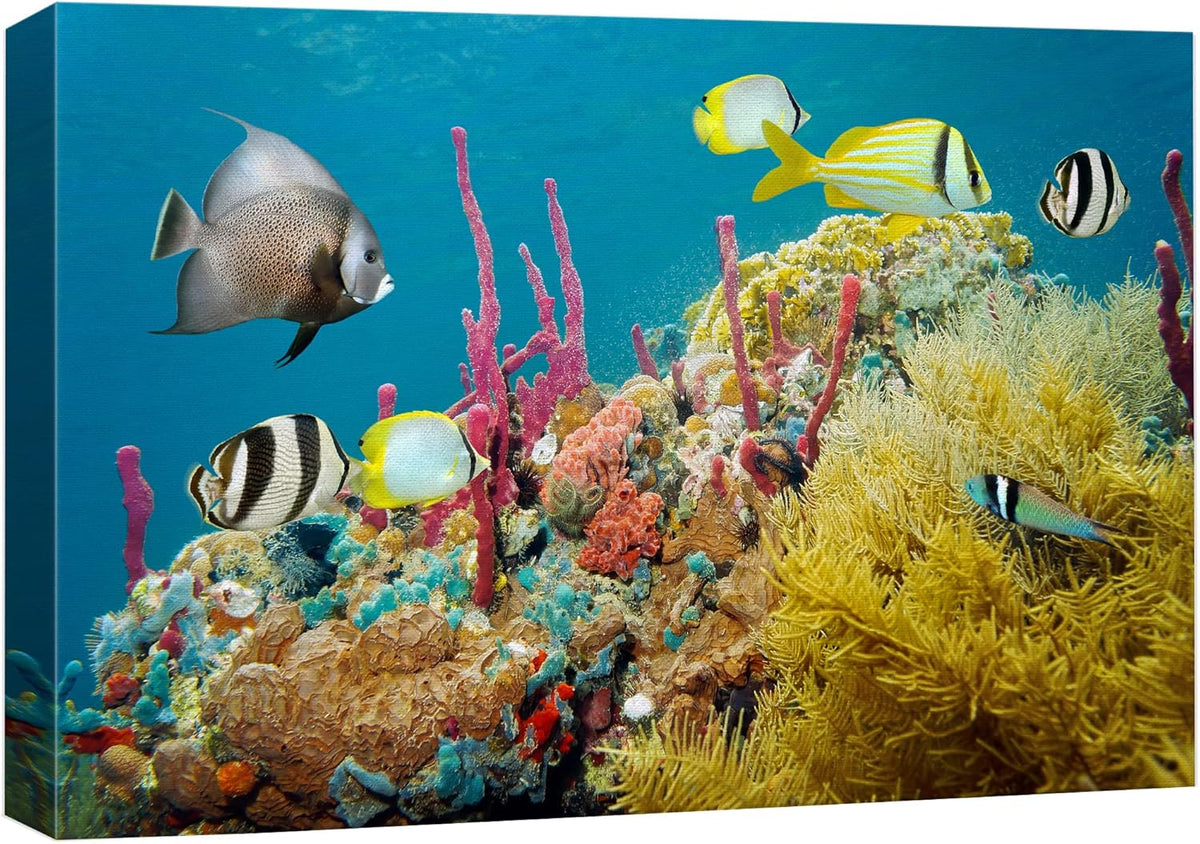 wall26 Canvas Print Wall Art Deep Sea Marine Fish with Coral Reef Nature Ocean Photography Realism Nautical Scenic Relax/Calm Multicolor Ultra for Living Room, Bedroom, Office - 32"x48"