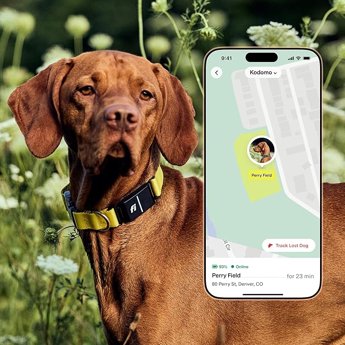 New Fi Series 3+ Smart Dog Tracker Collar – AI GPS for Dogs, Health & Behavior Monitor, Virtual Fence, Escape Alerts, Waterproof, Apple Watch Compatible 12Mo Membership Included