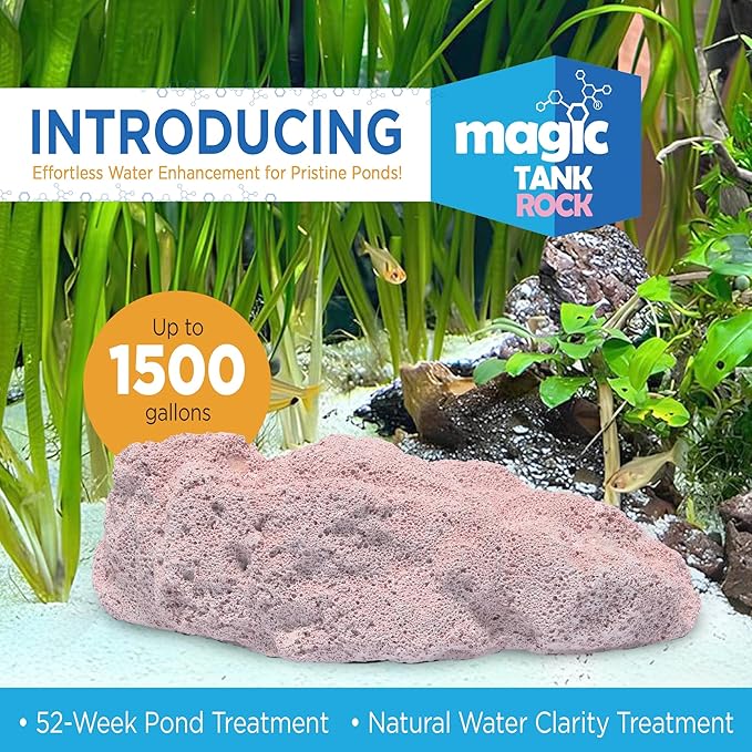 Fish Tank Rocks for Enhancing Water Clarity with Your Regular Cleaning Routine, Fish Friendly Aquarium Rocks, All Natural Aquarium Decor, Medium, Covers 750-1,500 Gallons