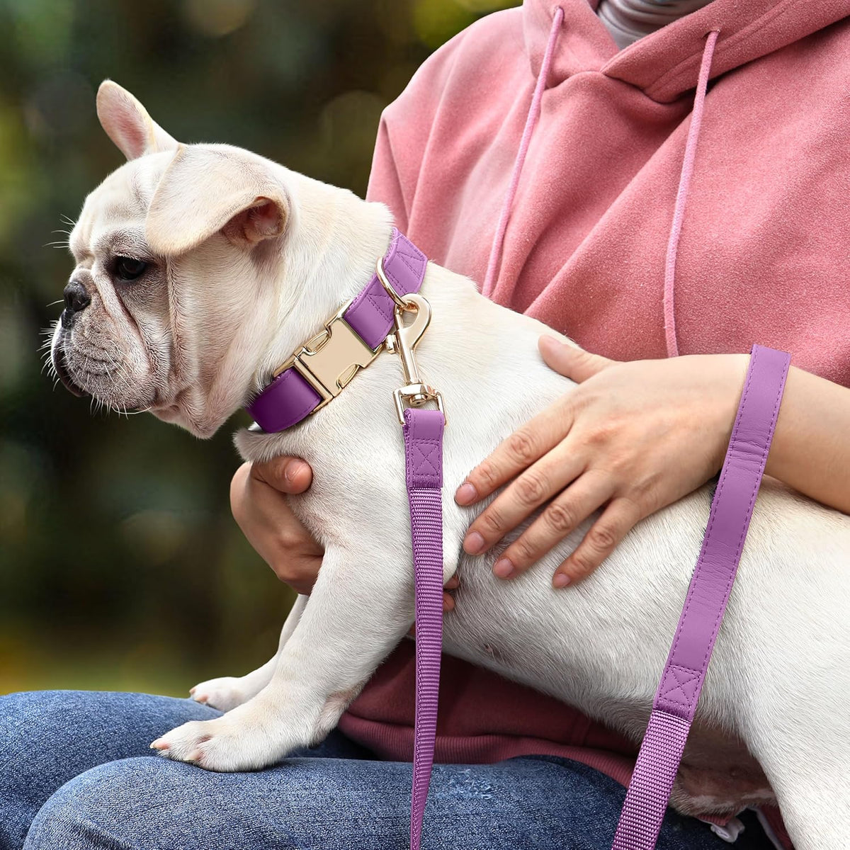 PET ARTIST PU Leather Dog Collar, Bright & Stylish Purple Dog Collar Girl with Quick Release Gold Metal Buckle, Soft Nylon Padded Durable Pet Collars Adjustable for Medium Dogs, Neck Fit 13-19"