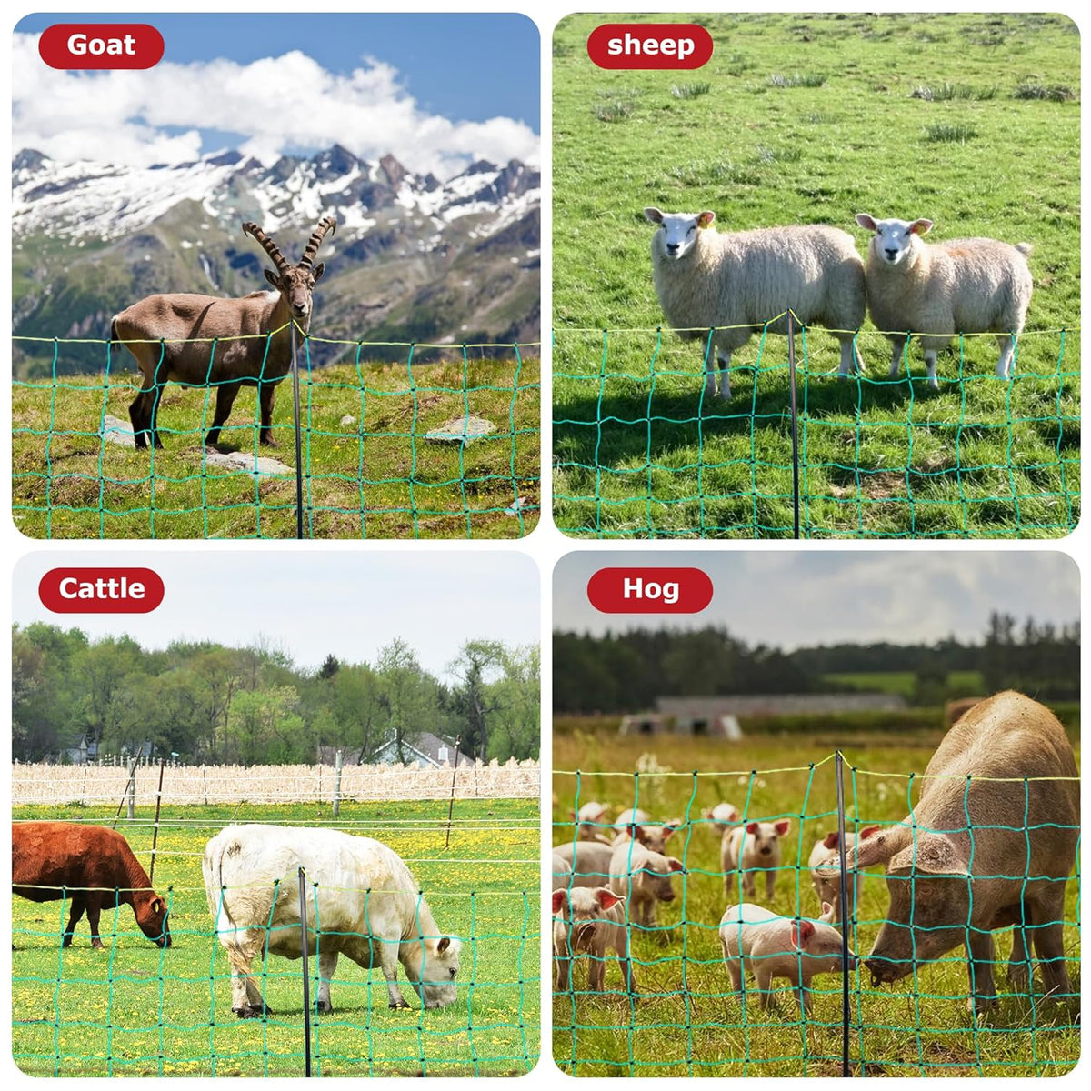 Electric Fence Netting, 49.6" H x 164'L, Electric Poultry Fence, Net Fencing Kit, Movable Livestock Nets for Yard,Backyards,Farms,Ranches, Energizer Not Included