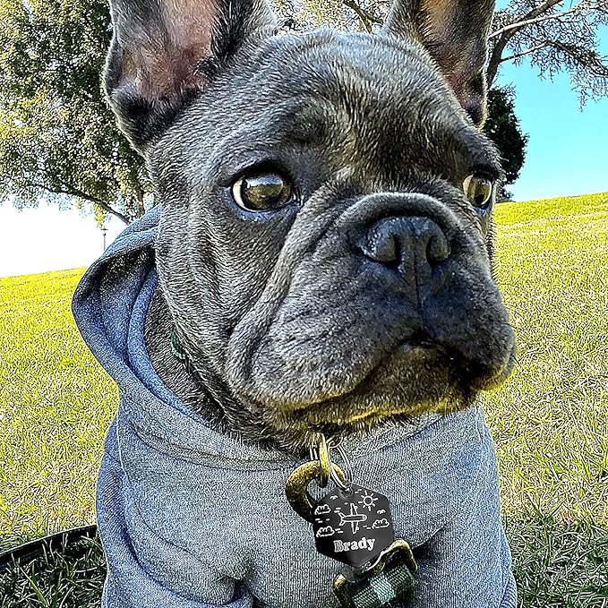 Personalized Dog Tag with 5 Lines of Custom Deep Engraved Durable Stainless Steel Pet ID Name Tag Designer Small Size Hexagon