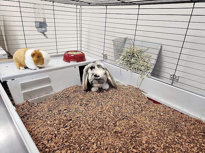Small Animal Bedding – 20 Liter – Natural Coco Chip Substrate with Activated Charcoal Odor Control – for Chicken Coop, Rabbit Cage, Hamster Habitat, Reptile Terrarium & Snake Tank