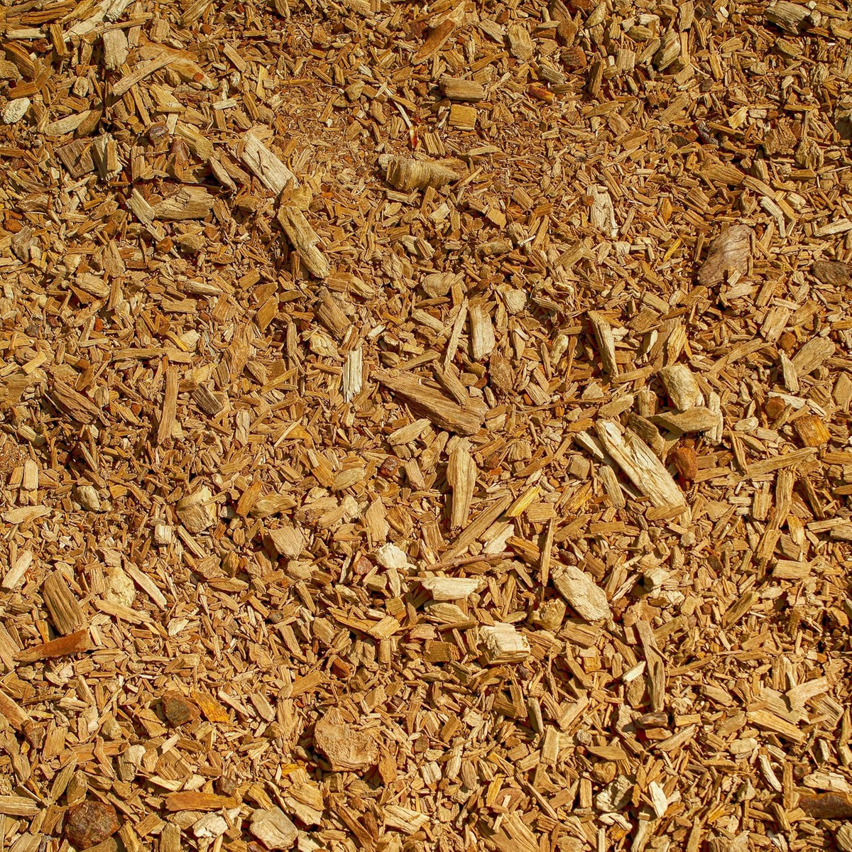 Premium Gold Wood Mulch for Landscaping, Gardens, Lawns, Potting Media, and Potted Plants (0.2 CF - 4.8 L - 5 QTS)