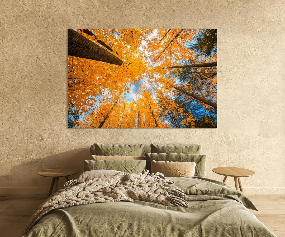 Nature Wall Art Prints - Ocean Forest Mountain Lake Canvas Landscapes - Small to Extra Large Living Room Bedroom Kitchen Bathroom Décor (Blue Sky Through Yellow Autumn Trees, 35L" x 53W")