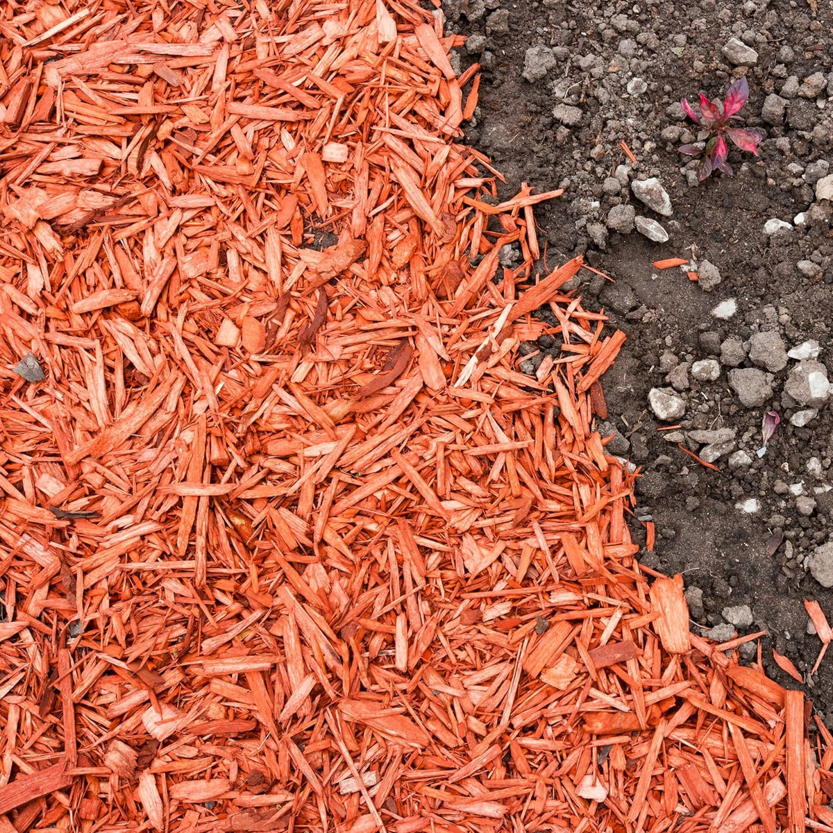 Premium Red Wood Mulch for Indoor, Patio, Potting Media, Gardens, Lawns, and Landscaping (0.3 CF - 8 L - 9 QTS)