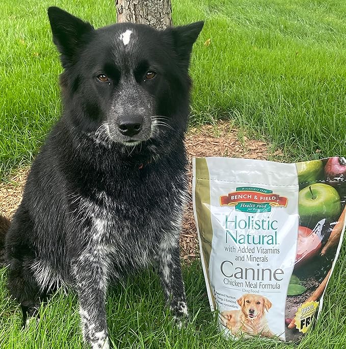 Bench & Field Holistic Natural Adult Dry Dog Food, Chicken Meal and Brown Rice Recipe 6.6 lb Bags (Pack of 2)